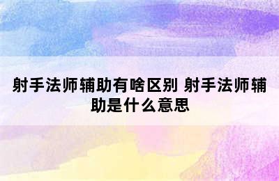 射手法师辅助有啥区别 射手法师辅助是什么意思